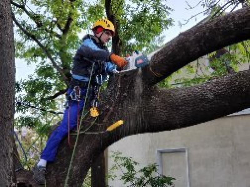 Послуги промислових альпіністів. Івано-Франківськ.