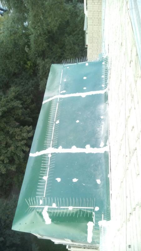 Висотні роботи, Послуги верхолазів, Промальп Роботи на висоті