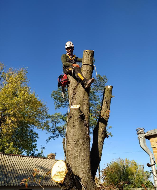 Промышленный альпинизм